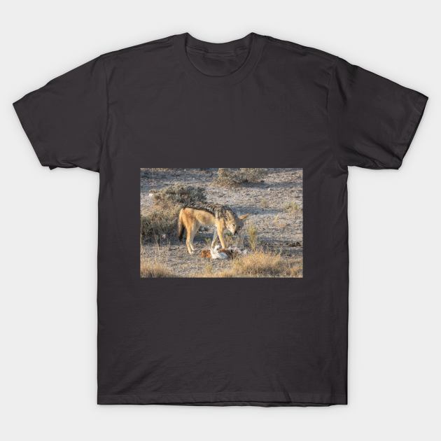 Namibia. Etosha National Park. Scavenging Jackal. T-Shirt by vadim19